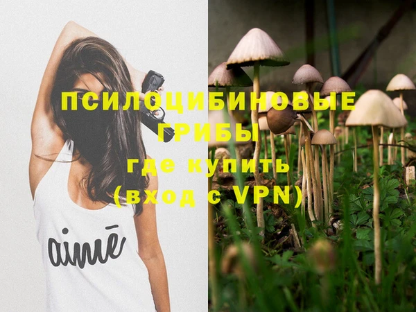гидра Алзамай